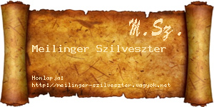 Meilinger Szilveszter névjegykártya