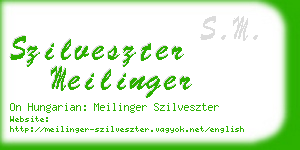 szilveszter meilinger business card